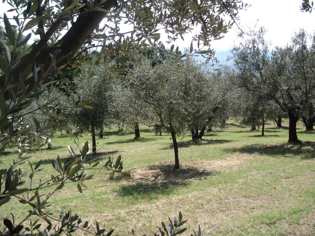 Tenuta Olmatello Quartolo Екстериор снимка